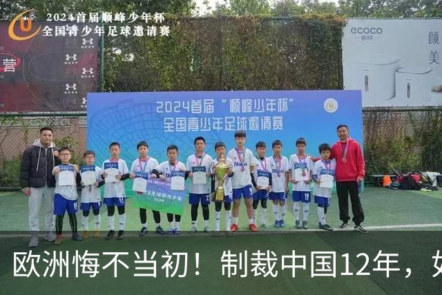 欧洲悔不当初！制裁中国12年，如今被迫取消，因为已无厂可保护